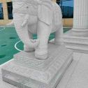 天水 白麻花岗岩动物异形石雕-大象