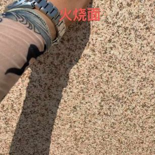 天水黄金麻火烧面