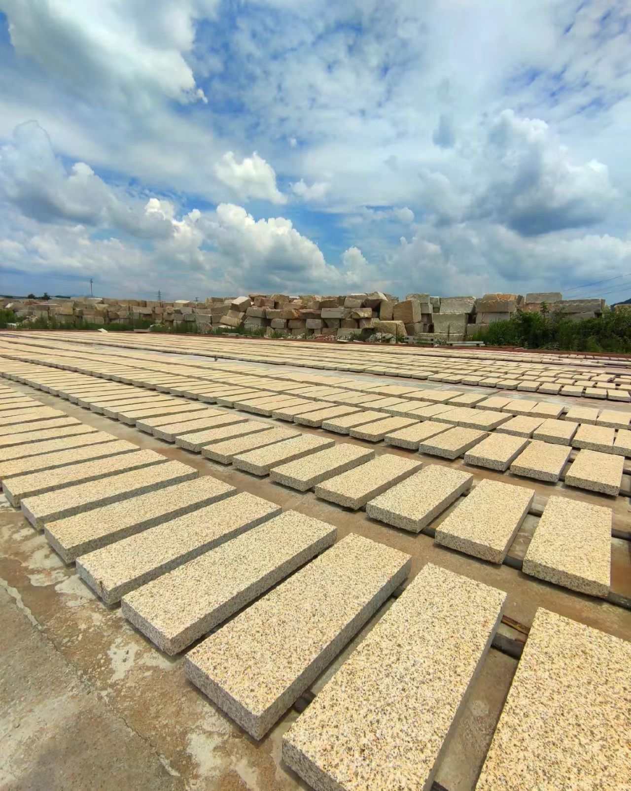 天水 黄金麻花岗岩荔枝面地铺石防护中